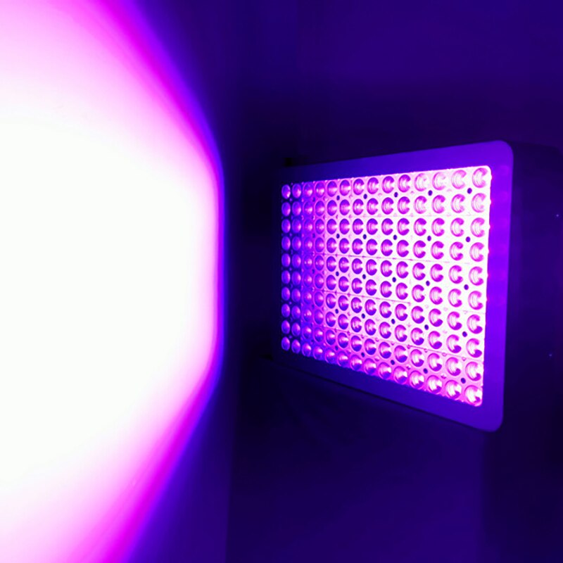   UV ȭ ڿܼ   365nm 395nm 405nm 3D ..